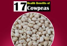 Image with missing alt attribute found on epainassist.com