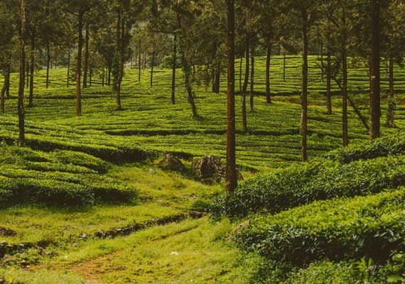 Image with missing alt attribute found on epictrips.in