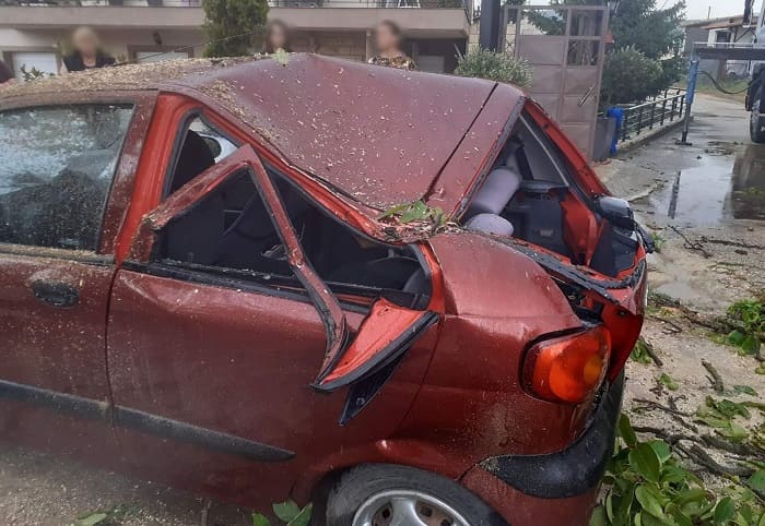 Καταστράφηκε από πτώση δέντρου