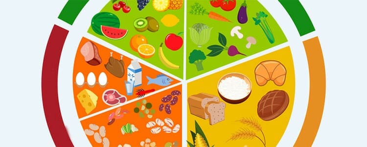 Qu&eacute; es el plato del buen comer