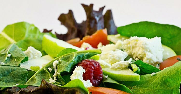 Qu&eacute; tipos de veganismo existen