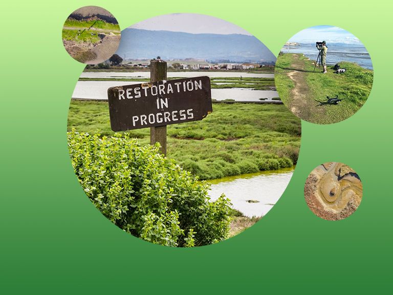 Image with missing alt attribute found on esri.com