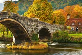 Image with missing alt attribute found on eteach.com