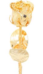 Image with missing alt attribute found on eternityrose.ca