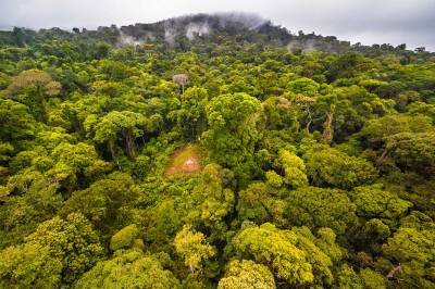 Image with missing alt attribute found on eterritoire.fr