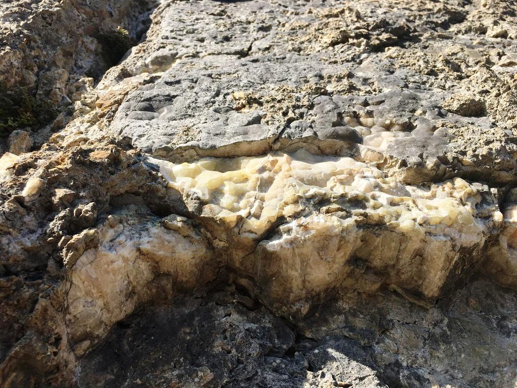 Image with missing alt attribute found on europafm.ro