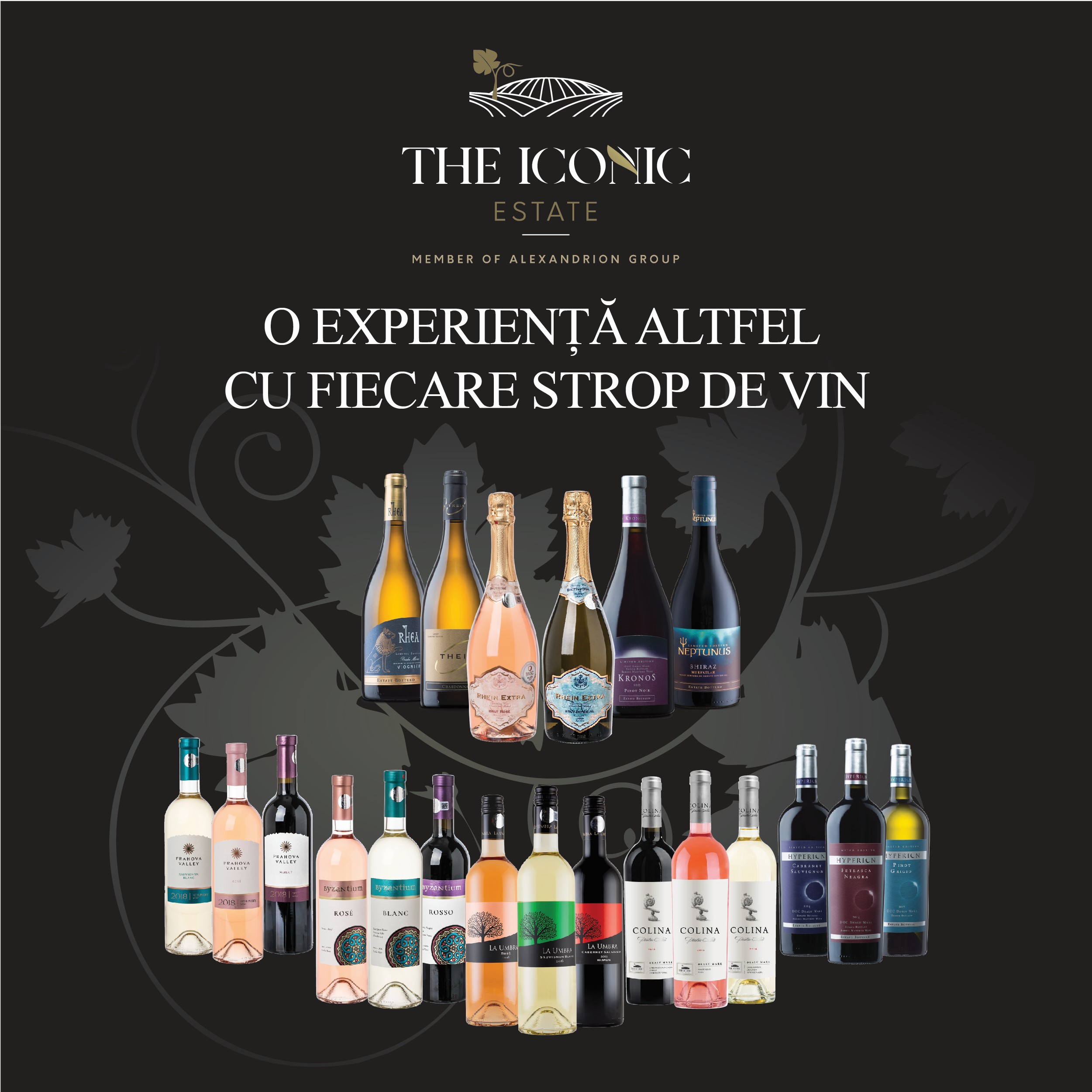 Image with missing alt attribute found on europafm.ro