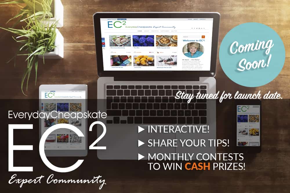 Image with missing alt attribute found on everydaycheapskate.com