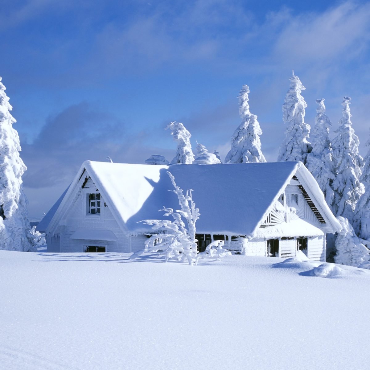 Image with missing alt attribute found on familyhandyman.com