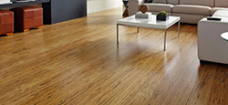 Bamboo flooring
