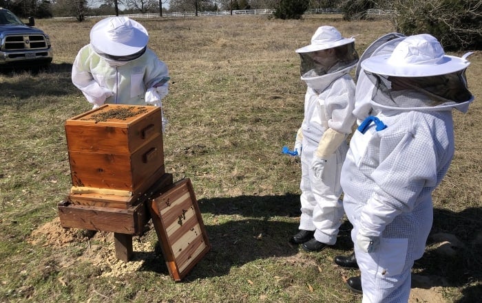 Image with missing alt attribute found on ffa.org