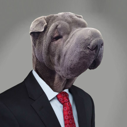 Image with missing alt attribute found on firstimpression.io