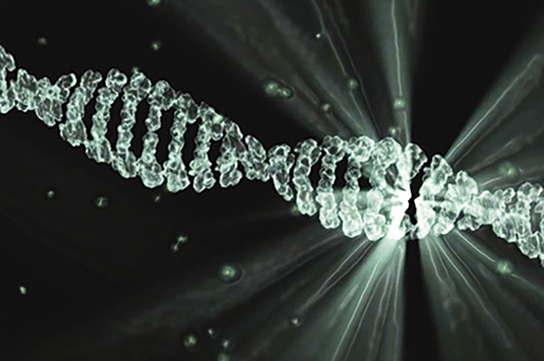 Image with missing alt attribute found on fiu.edu