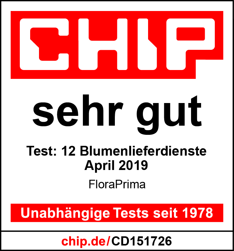 CHIP.de Unabh&auml;ngige Tests