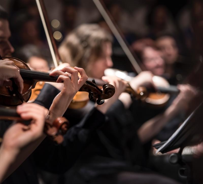 Image with missing alt attribute found on focusatwill.com