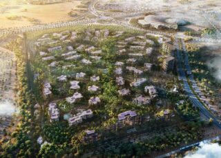 Ghaf-Wood-Dubailand-00
