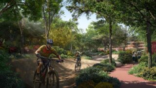 Ghaf-Wood-Dubailand-04