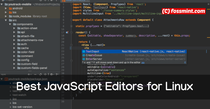 JavaScript Editors for Linux