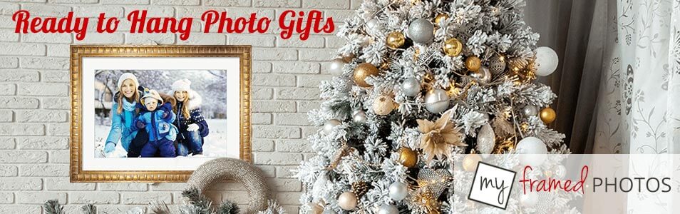 Image with missing alt attribute found on framedart.com