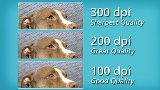 Image with missing alt attribute found on frameiteasy.com