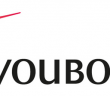 Application Youboox