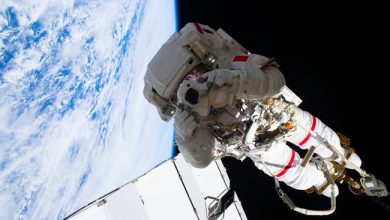 Image with missing alt attribute found on frenchweb.fr