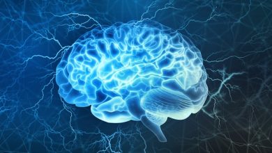 Image with missing alt attribute found on frenchweb.fr