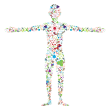 Logo of Frontiers in Bioengineering and Biotechnology, a Frontiers Open Access Scientific Academic Journal