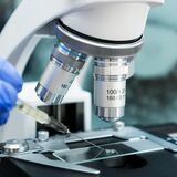 Logo of Frontiers in Toxicology, a Frontiers Open Access Scientific Academic Journal