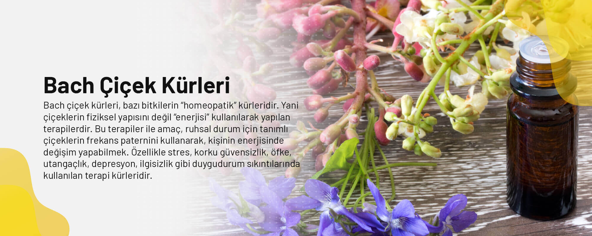 Image with missing alt attribute found on fuldenkucuk.com