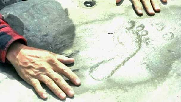 Image with missing alt attribute found on gaia.com