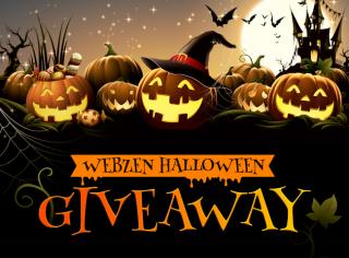 Image with missing alt attribute found on gameitems.com