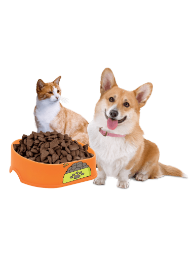 Image with missing alt attribute found on gamelle-anti-glouton.com