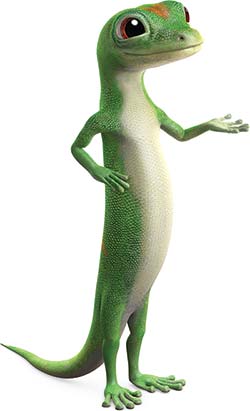 Image with missing alt attribute found on geico.com