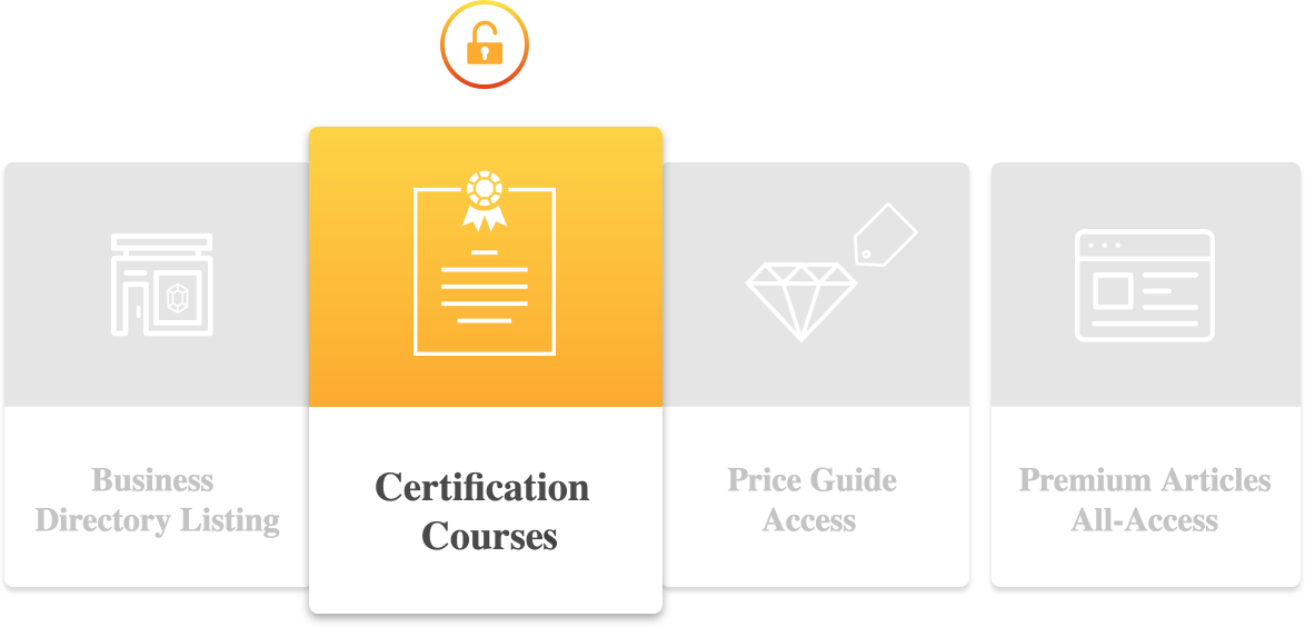 Image with missing alt attribute found on gemsociety.org