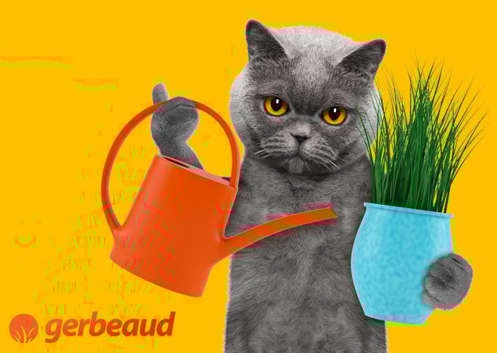 Image with missing alt attribute found on gerbeaud.com