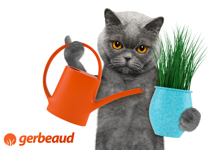 Image with missing alt attribute found on gerbeaud.com