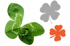 Image with missing alt attribute found on gerbeaud.com