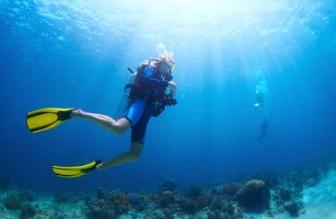 Image with missing alt attribute found on globosurfer.com