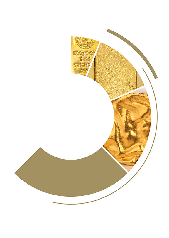 Image with missing alt attribute found on gold.org