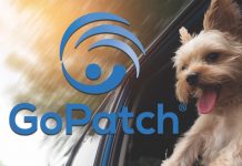 Image with missing alt attribute found on goodnewsnetwork.org