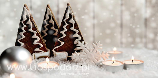 Życzenia na Boże Narodzenie