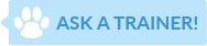 Ask a Trainer