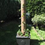 Image with missing alt attribute found on grillsportverein.de