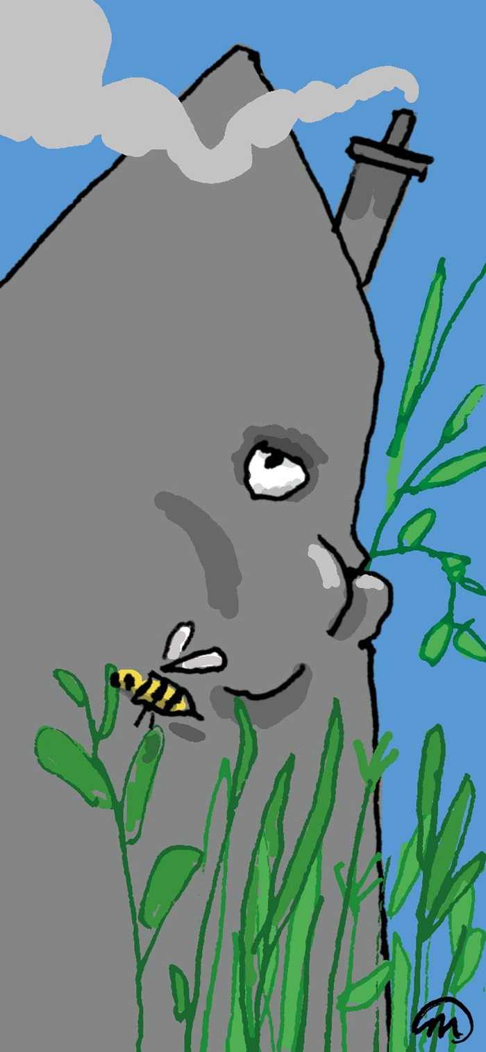 Image with missing alt attribute found on groene.nl