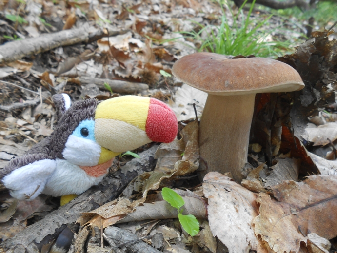 Image with missing alt attribute found on gugelfamily.com