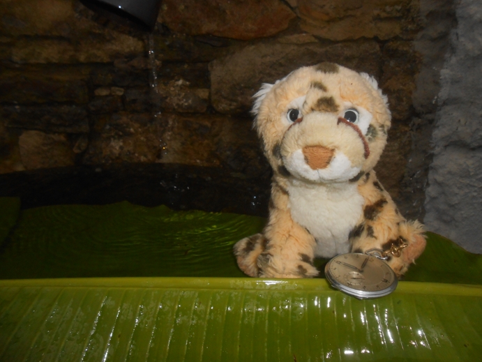 Image with missing alt attribute found on gugelfamily.com