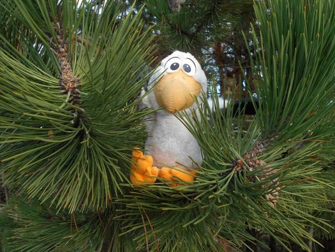 Image with missing alt attribute found on gugelfamily.com