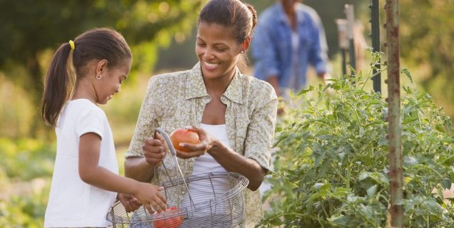 Image with missing alt attribute found on guiadejardineria.com