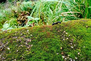 Image with missing alt attribute found on gutefrage.net